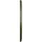 Ekena Millwork Wreath Ceiling Medallion (Fits Canopies up to 6"), 21 1/8"OD x 3 5/8"ID x 7/8"P, Painted Turtle CM21WRPTF - alternate 5